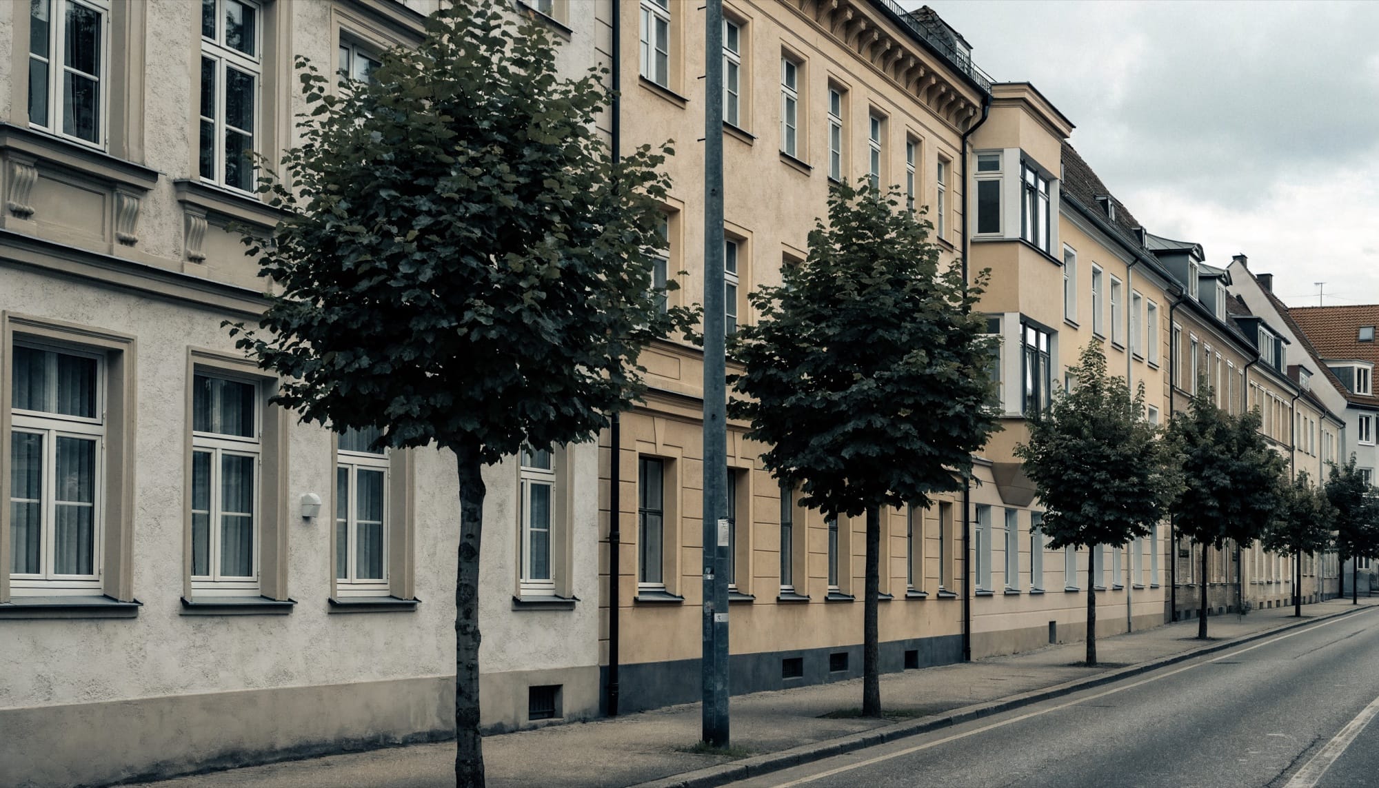 Sanierte Wohnhäuser an einer baumgesäumten Wohnstraße